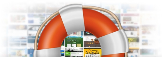 bao-hiem-website-thuc-day-hoat-dong-tren-internet